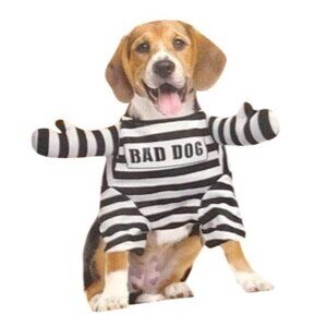 Woof Bad Dog Striped Jailbird Costume Medium Fun Halloween Pet Outfit